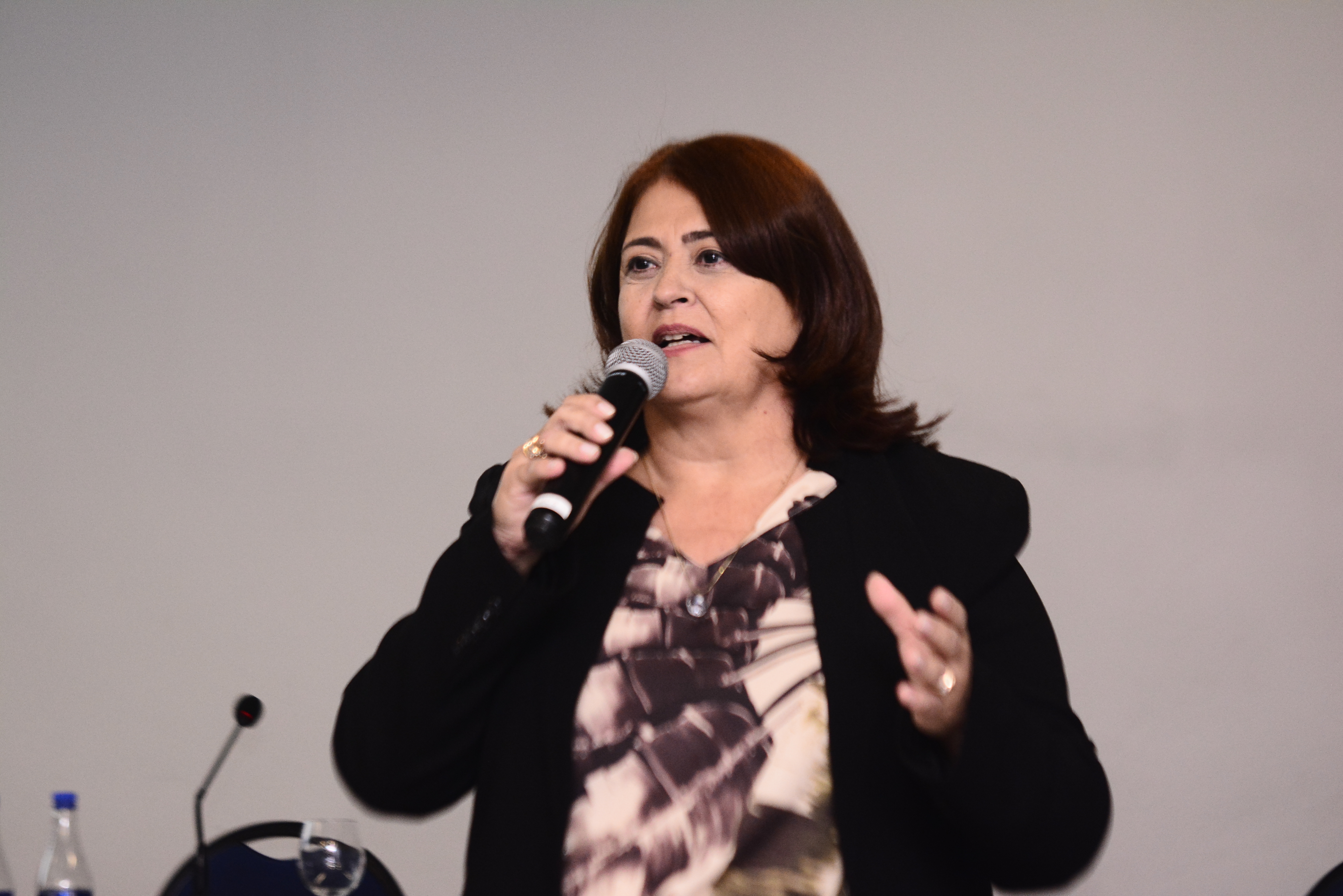 Presidente do Crea-AC, eng. civ. Carmem Nardino, coordenou o CEP de seu estado